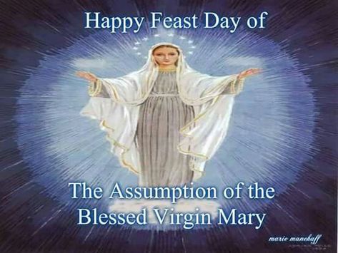 Our Lady Of Peace, Immaculate Mary, Our Lady Of Medjugorje, Lady Madonna, Blessed Mary, Mama Mary, Queen Of Heaven, Divine Mother, Blessed Mother Mary