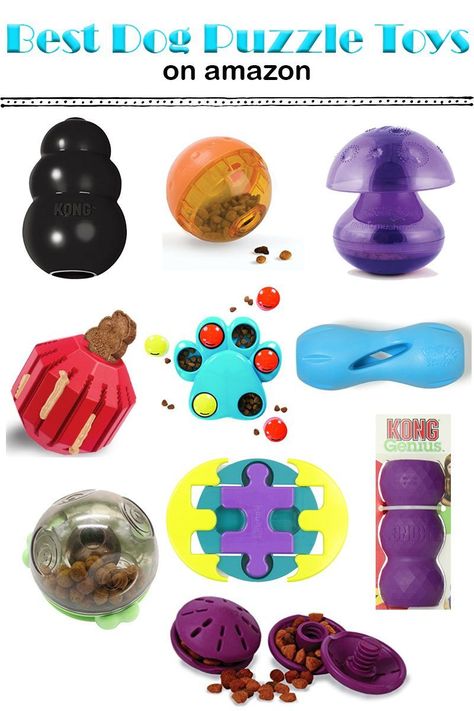 Dog Toys: Top 10 Best Puzzle Toys on Amazon Lou Dog, Smartest Dog Breeds, Puppy Obedience Training, Dog Behavior Training, Dog Toys Indestructable, Dog Puzzle Toys, Diy Dog Toys, Basic Dog Training, Best Dog Toys