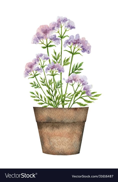 Flower Pot Watercolor, Flower Pot Illustration, Watercolor Potted Plants, Botanical Reference, Indoor Green Plants, Door Drawing, Rustic Pots, Watercolor Vector, Branch Vector