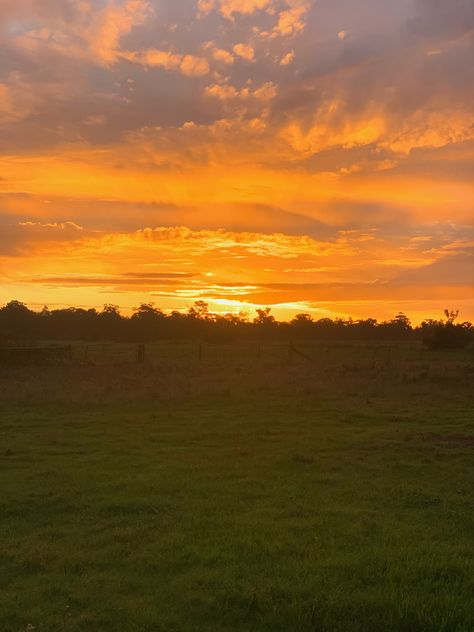 Golden Hour Sky, Golden Hour Field, Golden Hour Sunset, Evening Star, Sunset Beautiful, Fotos Aesthetic, Sunset Aesthetic, Summer Sky, Beautiful Sky