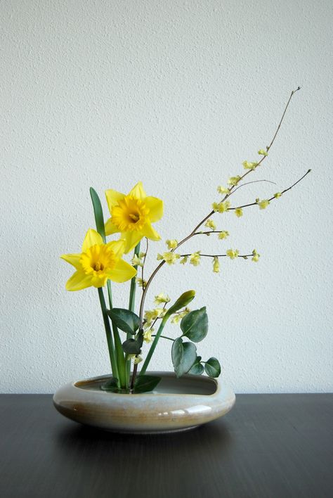 Ikebana 'It's spring again!' | Flickr - Photo Sharing! Art Floral Japonais, Arreglos Ikebana, Ikebana Sogetsu, Sogetsu Ikebana, Ikebana Arrangements, Ikebana Flower Arrangement, Ikebana Vases, Creative Flower Arrangements, Flower Arrangements Simple