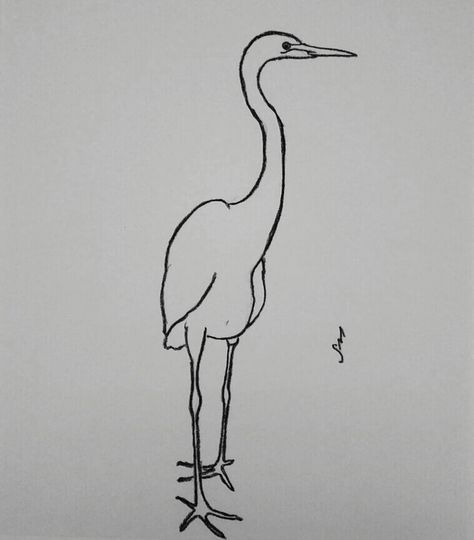 Egret Tattoo Simple, Sandhill Crane Tattoo Simple, Egret Tattoo Design, Heron Drawing Simple, Crane Drawing Simple, Heron Line Drawing, Egret Illustration, Egret Drawing, Egret Tattoo