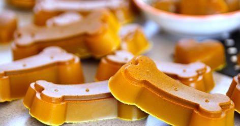 This homemade gummy dog treat recipe combines healthy ingredients and doggone delicious scents/flavours. Gelatin, turmeric, and more. Doggone delicious! Dog Gummies, Turmeric Latte Golden Milk, Milk Gelatin, Dog Meds, Healthy Gummies, Homemade Gummies, Pet Recipes, Pet Snacks, Dog Easter