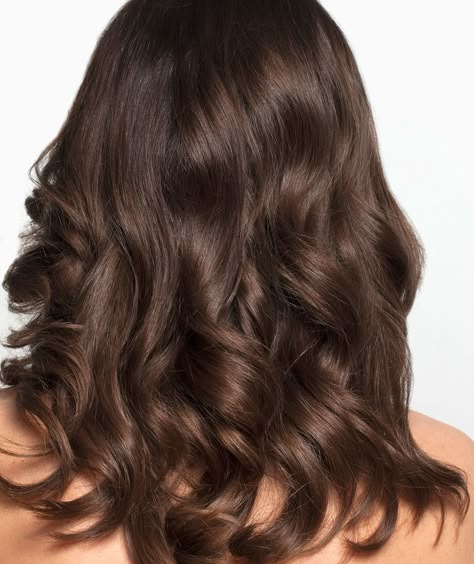 Coffee Brown Hair, Brown Hair Trends, Coffee Hair, Mushroom Brown, Chocolate Brown Hair Color, Brown Hair Looks, Fall Hair Color Trends, Latest Hair Color, Chocolate Brown Hair