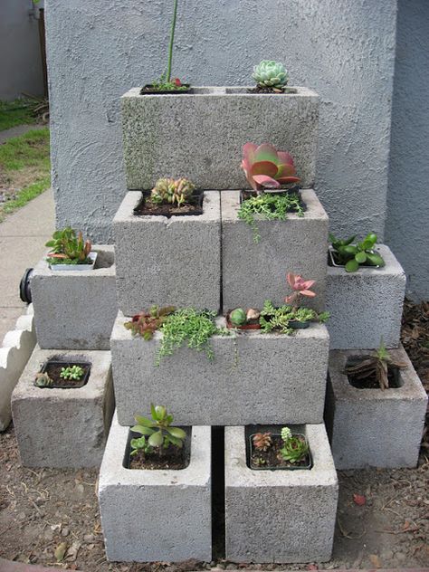 Cinder blocks flower pot planter | Sheknows.com Cinder Block Garden, Cement Blocks, Pepper Plants, Planter Ideas, Have Inspiration, Cinder Block, Budget Backyard, Succulent Planter, Succulents Garden