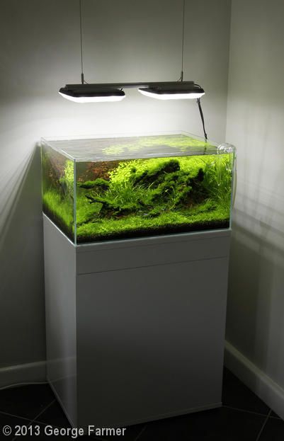 2013 AGA Aquascaping Contest - Entry #40 Fish Aquarium Decorations, Indoor Water Features, Fish Tank Design, Aquatic Garden, Aquarium Light, Led Aquarium, Aquarium Stand, Led Aquarium Lighting, Nano Aquarium