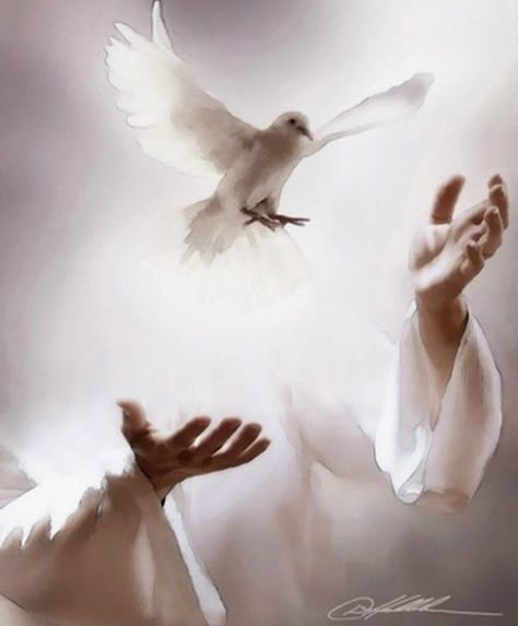 Holly Spirit, Pentecost Sunday, Dove Pictures, Jesus Christ Artwork, Mom Pictures, Jesus Christ Art, Christian Artwork, Prophetic Art, Christian Pictures