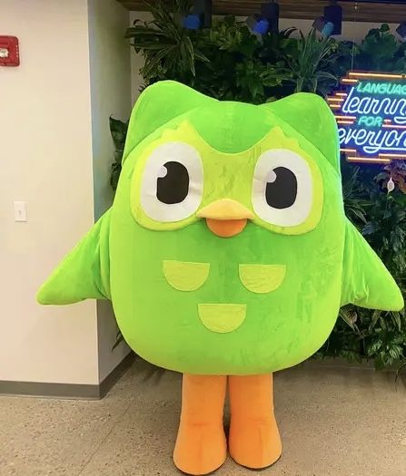 Barbie Duolingo, Duolingo Mascot, Duolingo Costume, Duolingo Party, Duolingo Threats, Duolingo Bird, Creative Pumpkin Carving, Creative Pumpkins, Foreign Languages