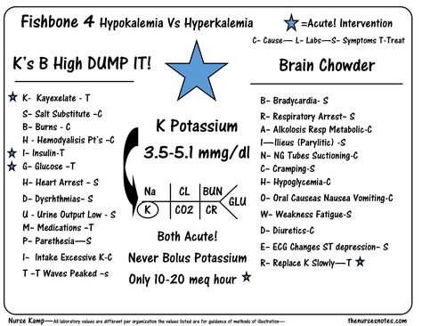 This is the fourth in the series of fishbones I am working on exploring Hyperkalemia and Hypokalemia for nurses. This is a quick overview of electrolytes CHEM 7 Fishbone diagram explaining the differences between Acute vs chronic condition. BUN Creatinine Sodium Postassium Glucose Chloride and CO2 explained . I am working on this for my class all of this can be shared. Hyperkalemia Hypokalemia, Hyponatremia Hypernatremia BUN Creatinine Hypocalcemia Nursing, Hypomagnesemia Mnemonic, Hypo Vs Hypernatremia, Anti Hypertensive Medications, Anticholinergic Vs Cholinergic Nursing, Nursing Labs, Brain Book, Nursing Board, Student Info