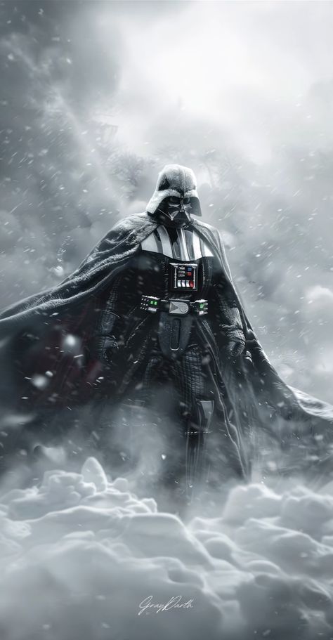 Winter Star Wars Wallpaper, Jedi Wallpaper, Anakin Skywalker Wallpaper, Vader Wallpaper, Star Wars Art Drawings, Darth Vader Wallpaper, Star Wars Painting, Star Wars Background, The Fallen Angel