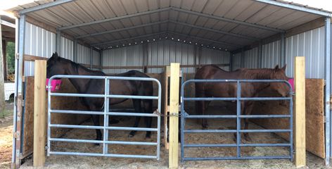 Turn a metal shelter into a 2 horse stall barn. Carport Horse Shelter, Horse Stall Ideas Diy Cheap, Diy Horse Shelter Cheap, Diy Horse Stalls Cheap, Cheap Horse Shelter, Small Stable Ideas, Horse Stall Ideas Cheap, Horse Shelter Ideas Cheap, Horse Stalls Cheap