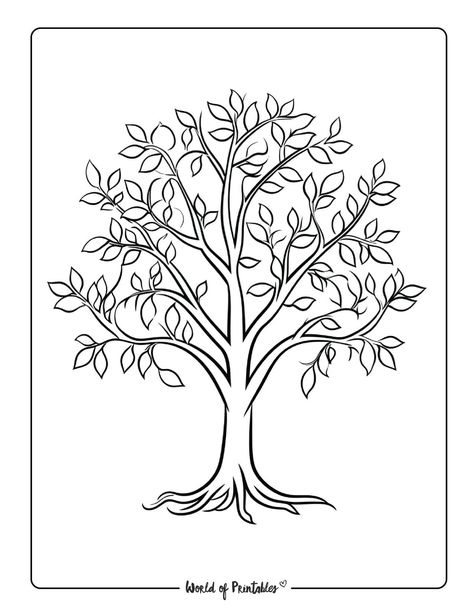 Outline Drawing Ideas, Family Tree Outline, Family Tree Drawing, Tree Drawing Simple, Cute Owl Tattoo, Outline Pictures, Family Tree Designs, Tree Coloring, Tree Outline