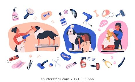 Grooming Dogs, Pet Grooming Business, Kids Cycle, Pet Spa, Dog Grooming Business, Domestic Animals, Dog Vector, Dog Items, Cute Family