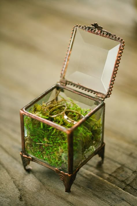 Cafe Brauer, Ring Box Wedding Rustic, Moss Wedding, Vintage Ring Box, Rustic Wedding Rings, Moss Decor, Viking Wedding, Nature Inspired Wedding, Enchanted Forest Wedding