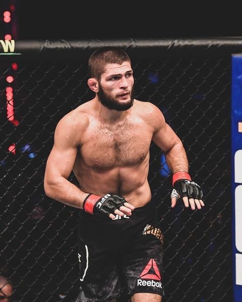 Ufc Tattoo, Khabib And Islam, Ufc Aesthetic, Ufc Fighters Men, Mma Motivation, Islam Makhachev, Gym Icon, Dustin Poirier, Mma Videos