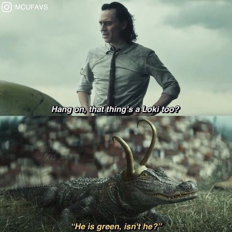 Loki Riding A Horse, Loki Show, Alligator Loki, Baby Loki, Marvel Comics Funny, Baby Avengers, Marvel Show, Marvel Tv, Marvel Avengers Funny