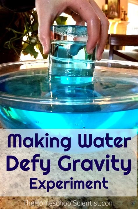 Gravity Activities For Preschool, Gravity Preschool Activities, Gravity Experiments For Preschool, Gravity Activities For Kids, Density Science Experiments, Gravity Science Experiments For Kids, Gravity Experiments For Kids, Gravity Experiments Middle School, Preschool Gravity Experiments