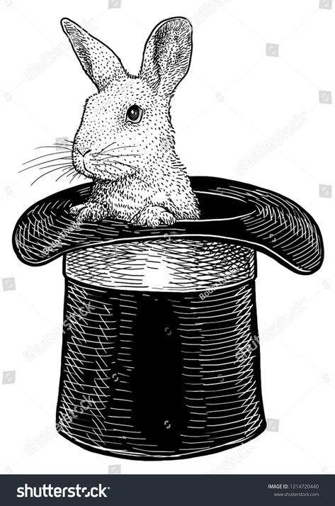 Top Hat Drawing, Rabbit In A Hat, Drawing Rabbit, Ink Line Art, Hole Drawing, Happy Birthday Steve, Hat Illustration, All About Rabbits, Rabbit Hat