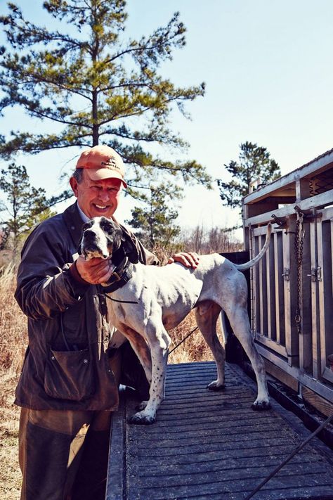 Go on the hunt for wild quail at Pineland Farm in South Carolina Frank Edwards, Quail Hunting, Bird Hunting, Hunting Dog, Gone Forever, Wild Bird, The Golden Age, Hunting Dogs, Wild Birds