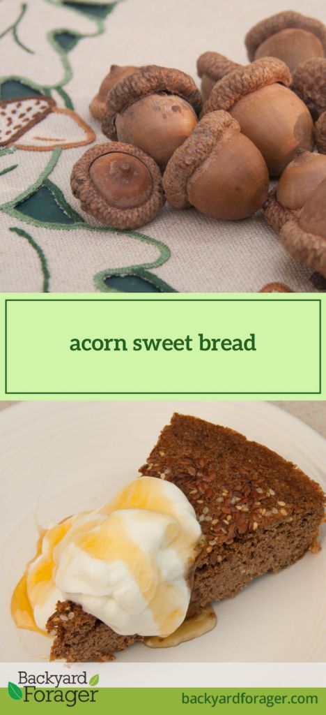 acorn sweet bread Acorn Bread Recipe, Acorn Bread, Vegan Homesteading, Acorn Recipes, Acorn Recipe, Acorn Flour, Eating Acorns, Sweet Bread Recipe, Food Foraging