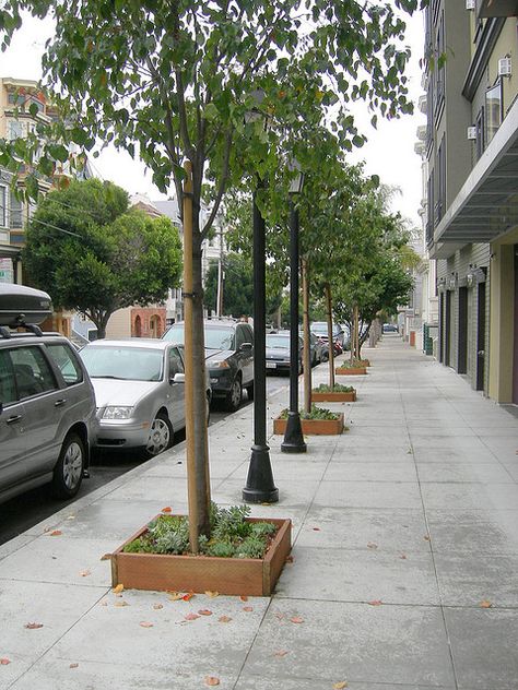 San Francisco street trees by greenwalksblog, via Flickr Sponge City, San Francisco Street, Streetscape Design, City Tree, San Francisco Streets, Tree Planters, Urban Design Plan, Public Space Design, Commercial Landscaping