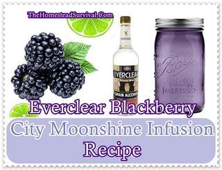 Everclear Blackberry City Moonshine Infusion Recipe Blackberry Moonshine, Infused Alcohol Recipes, Infused Alcohol, Homemade Wine Recipes, Moonshine Recipe, Infused Liquors, Food Prep Storage, Homemade Liquor, Moonshine Recipes