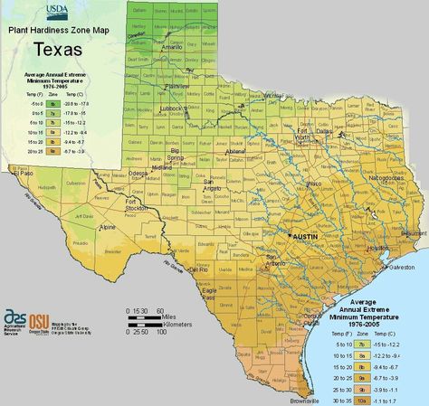 USDA map of Texas growing zones for garden plannin Planting Zones Map, Planting Zones, Texas Landscaping, Texas Plants, Texas Native Plants, Plant Hardiness Zone Map, Gardening Zones, Plant Zones, Texas Gardening