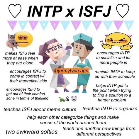 Isfj Ships Fanart, Isfj Ships, Entj Relationships, Intp Relationships, Mbti Ships, Infj And Entp, Mbti Intp, Isfj Personality, Intp T