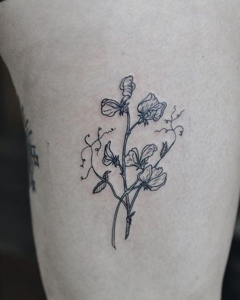 Pea Flower Tattoo, Sweet Pea Flower Tattoo, Pea Tattoo, Spring Tattoo, Sweet Pea Tattoo, Sweet Pea Flower, Garden Tattoos, Sweet Pea Flowers, Vine Tattoos