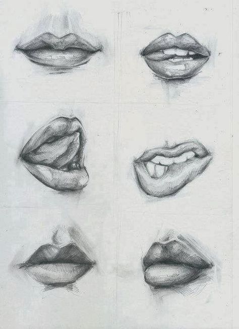 Realistic Features Drawing, Lips Drawing Sketch, Realistic Lips Drawing, Lips Drawing Reference, Mouth Sketch, Lips Sketch, Drawing Hands, Drawing Eyes, Drawing Hair