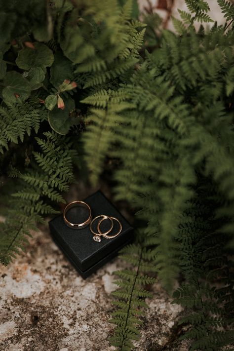 Wedding Rings Photography Ideas, How To Photograph Jewelry, Ring Photoshoot Ideas, Wedding Jewelry Photography, Wedding Ring Photography, Wedding Ring Shots, Ring Photography, Jewellery Photography Inspiration, Lady Bird Johnson Wildflower Center