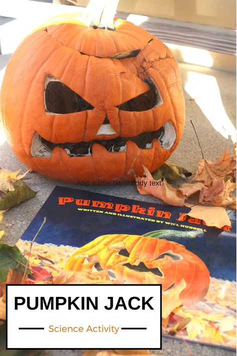 Pumpkin Jack Book Science Activity Rotting and Life Cycle Science Pumpkin Jack Book Activities, Pumpkin Jack Experiment, Pumpkin Jack Book, Pumpkin Jack Activities, Rotting Pumpkin, Preschool Pumpkins, Pumpkin Science Experiment, Pumpkins Preschool, Pumpkin Science