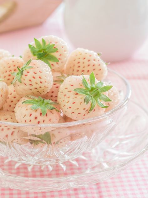 7 Health Benefits of Pineberries - Blend of Bites Ocs Template, Aesthetic Fruits, White Strawberries, Types Of Strawberries, Plant Based Meat, Garden Fruit Trees, Fruit Hacks, Farm Tips, Types Of Berries