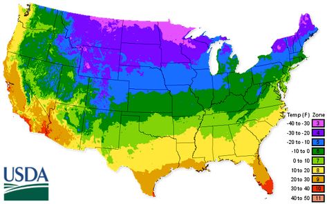 USDA Zone Specific Planting Guide & More – Mary's Heirloom Seeds Seed Planting Guide, Vegetable Planting Guide, Plant Hardiness Zone Map, Watermelon Plant, Planting Guide, Zone 10, Zone 7, Plant Zones, Gardening Zones