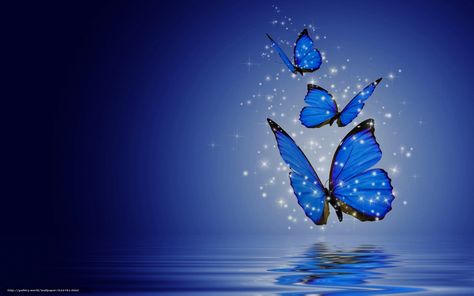 scaricare gli sfondi farfalle, Farfalle, 3d Sfondi gratis per la risoluzione del desktop 3072x1920 — immagine №626781 Background Home, Blue Butterflies, Butterfly Wallpaper, Home Screen, Blue Background, Butterflies, Laptop, Wallpapers, Screen