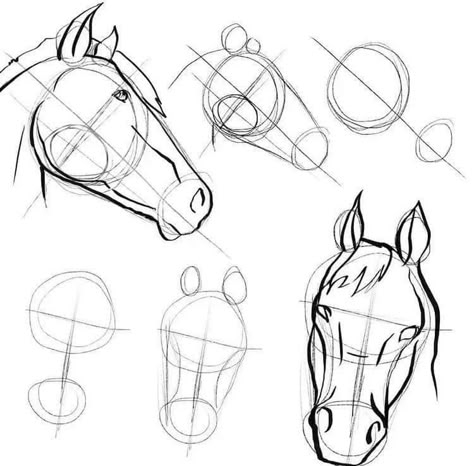 Horse Drawing Tutorial, Horse Head Drawing, Abstract Painting Acrylic Modern, Horse Art Drawing, Horse Sketch, Animal Illustration Art, Horse Drawing, Horse Drawings, Easy Drawings Sketches