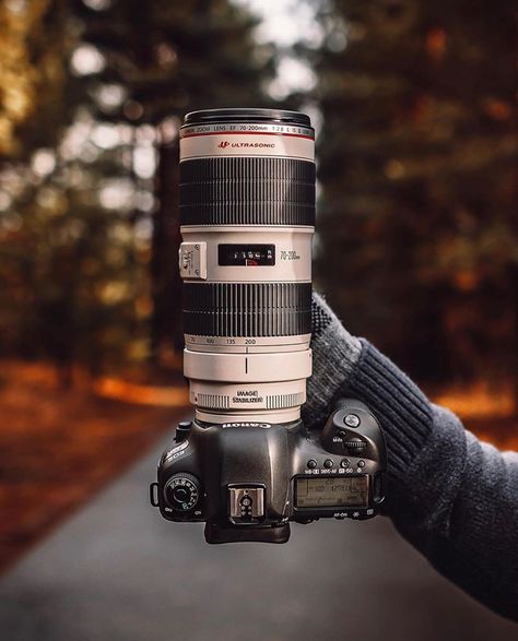 Camera Frames on Instagram: “Canon 5D Mark IV + Canon 70-200mm f/2.8L IS II USM Photo by @unique.depth ———————————————————————— We are selling Camera Top Handle! Click…” Canon 5d Mark Iv, 5d Mark Iv, Camera Frame, Canon Digital Camera, Canon 5d, Camera Hacks, Canon Camera, Sony Alpha, Digital Camera