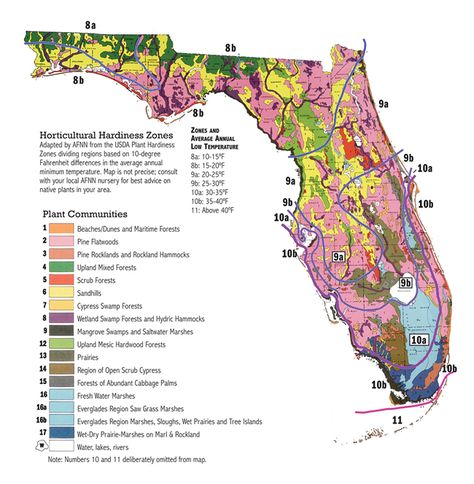 I found a new USDA hardiness map for Florida - WEATHER / CLIMATE - PalmTalk Florida Landscaping Ideas, Florida Plants Landscaping, Florida Wildflowers, Florida Native Plants, Florida Landscape, Florida Garden, Florida Landscaping, Florida Plants, Community Website