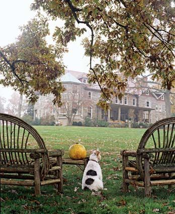 wirehair fox terrier & his countryside modest home. This is what the proper WFT is doing this season! Classic Pumpkin Carving, Warrenton Virginia, Michael Schmidt, English Country Manor, Fall Board, Pumpkin Carving Party, Fox Terriers, Dog Home, Wire Fox Terrier