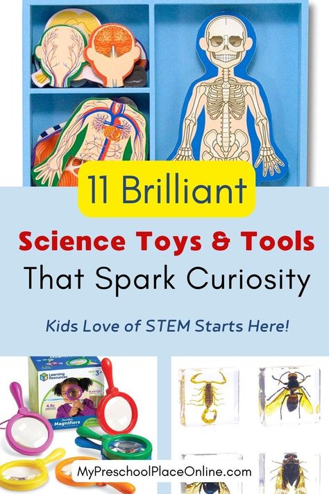 Discover amazing science toys for preschoolers, handpicked by teachers! Engage your 3-5-year-olds in hands-on learning with our top 11 science toys that inspire curiosity and spark young minds. Perfect for moms seeking educational fun for their kiddos! Tap to explore the list now. Toys For Preschoolers, Prek Homeschool, Me Preschool Theme, Life Science Activities, Online Preschool, Shape Activities Preschool, Science For Toddlers, School Art Activities, Preschool Science Activities