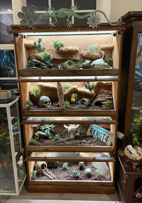 Diy Snake Terrarium, Multiple Reptile Tank Setup, Reptile Rack Ideas, Reptile Enclosure Furniture, Reptile Room Aesthetic, Reptile Room Ideas, Snake Vivarium, Reptile Rack, Bearded Dragon Terrarium Ideas