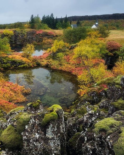 Autumn Aesthetic, Scandinavia, Four Seasons, Iceland, All Seasons, Planets, Did You Know, Natural Landmarks, Water