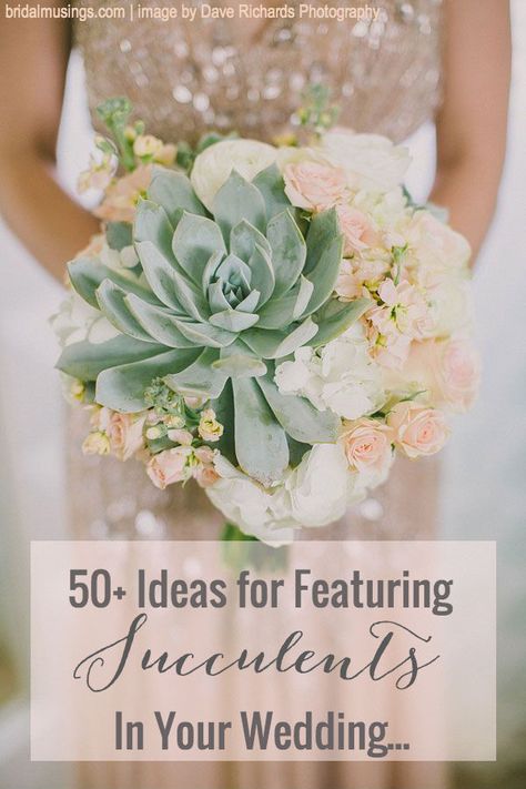 Succulent Wedding Decor, Succulent Wedding Centerpieces, Succulent Wedding Invitations, Succulent Bouquet Wedding, Succulent Bouquet, Succulent Centerpieces, Succulent Wedding, Bridal Musings, Wedding Chicks