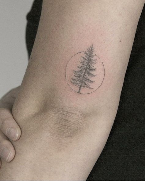 Dainty pine tree tattoo Pine Tree Tatoos, Pine Tattoo Tree, Tree Tattoo Placement, Simple Pine Tree Tattoo, Tree Tattoo Simple, Tattoo Pine Tree, Pine Tree Tattoos, Birch Tree Tattoos, Olive Tree Tattoos