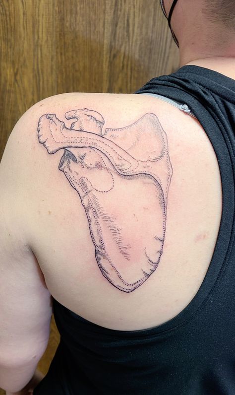 Anatomical scapula tattoo on woman's posterior shoulder Scapula Tattoo, Anatomical Tattoo, Anatomical Tattoos, Skeleton Tattoo, Skeleton Tattoos, Back Tattoos, Needle Work, Shoulder Tattoo, Back Tattoo