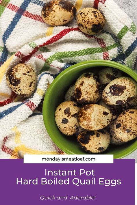 Instant Pot Quail Eggs are easy and quick to make in the pressure cooker using the steam function. They are so adorable, and make great appetizers that will be the talk of the party! #instantpotrecipe #eggs #quail Boiled Quail Eggs, Quail Egg Recipes, Pickled Quail Eggs, Quail Recipes, French Toast Bites, Raising Quail, Farm Recipes, Slow Carb, Farm Wife