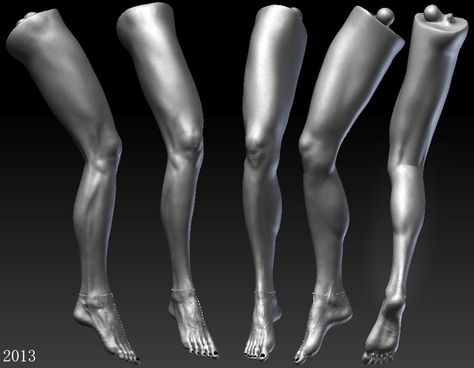 anatomy study (woman's leg) by AnatolB ... Anatomy Drawing Practice, Woman Anatomy, Zbrush Anatomy, Leg Reference, Leg Anatomy, Human Anatomy Reference, Human Anatomy For Artists, Female Anatomy Reference, Model Legs