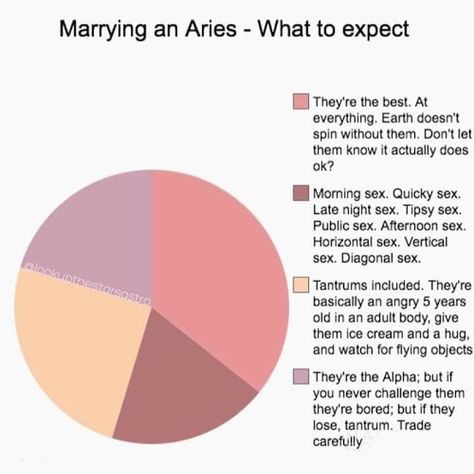 Marrying an Aries Aries And Scorpio Relationship, Aries Funny, Arte Aries, Aries Sun, Astrology Signs Aries, Scorpio Virgo, Aries Aesthetic, Aries Baby, Aries And Sagittarius