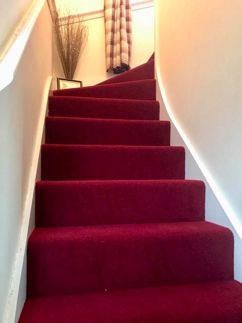 Red Stair Carpet, Red Carpet Staircase, Pink Carpet Stairs, Red Carpet Stairs, Wood And Carpet Stairs, Red Staircase, Carpet For Stairs, Decorating Stairway Walls, Stairs And Hallway Ideas