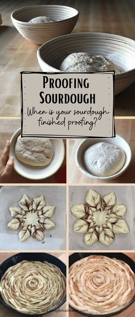 When is sourdough finished proofing? The signs and a test - Living Bread Baker Sourdough Proofing Chart, Easy Sourdough Bread Recipe, Sourdough Bread Sandwiches, Japanese Bread, Baking Fun, Dough Recipes, Sour Dough, Bread Baker, Sourdough Baking